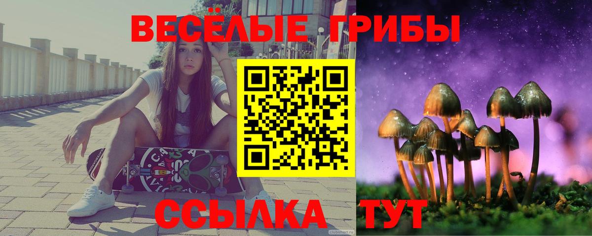 Галлюциногенные грибы прущие грибы  Галлюциногенные грибы MAGIC MUSHROOMS  Вход с VPN  Георгиевск 